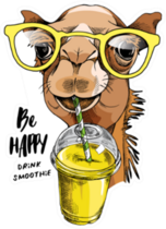 Be Happy Drink Smoothie Funny Camel Sticker
