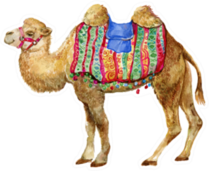 Camel Isolated Watercolor Sticker