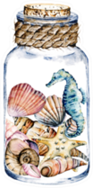 Seashells and Seahorse In Glass Jar, Marine Scenery Sticker